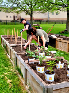 cresswood-cares-sponsors-the-apple-scramble-for-the-deKalb-county-community-gardens-used-machine-shredders-4