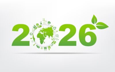 Five Ways Recycling Equipment Reduces Landfill Waste