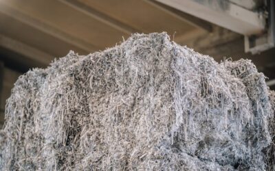 From Paper Waste to Profit With Smarter Systems