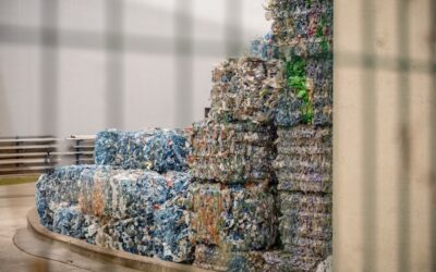 5 Signs It’s Time to Move from Plastic Waste Collection to Your Own Shredding Equipment